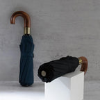 Parachase folding umbrella with waterproof carrying cover
